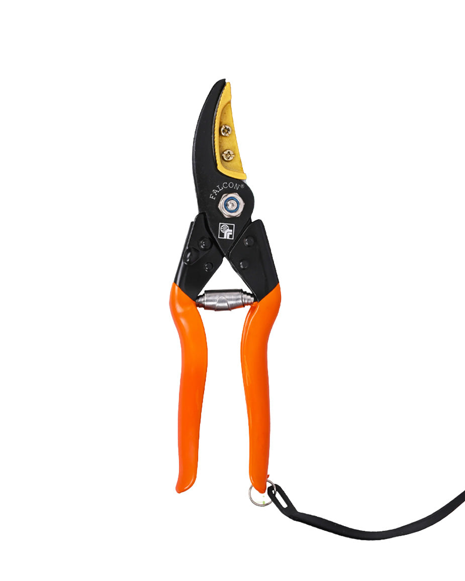 Falcon Cut & Hold Pruning Secateur FCHS-901 | 225mm Smart Garden Shears