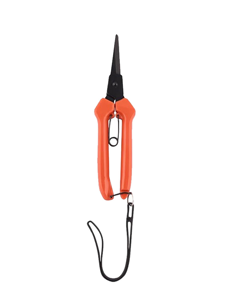 Falcon Rose Harvester RUCHI | 190mm Precision Flower & Bonsai Cutter