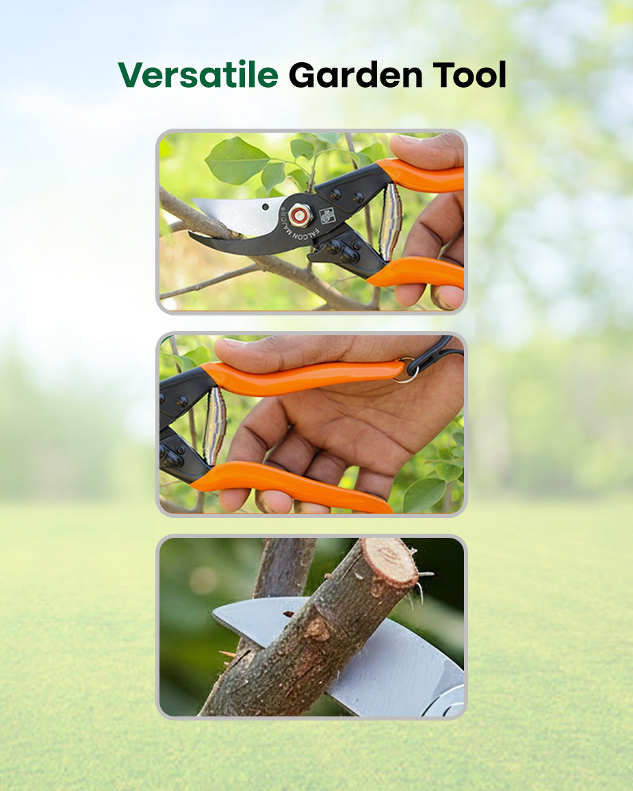 Falcon Major Pruning Secateurs | 225mm Bypass Garden Pruner