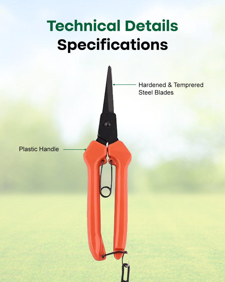 Falcon Rose Harvester RUCHI | 190mm Precision Flower & Bonsai Cutter