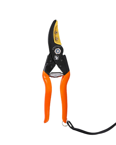 Falcon Cut & Hold Pruning Secateur FCHS-901 | 225mm Smart Garden Shears
