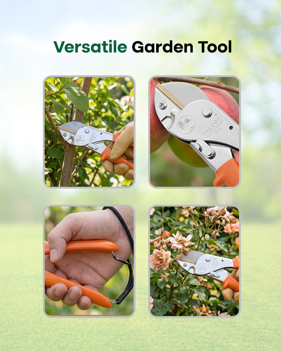 Falcon Pruning Secateur Economy-M2 | 12mm Anvil Garden Pruner