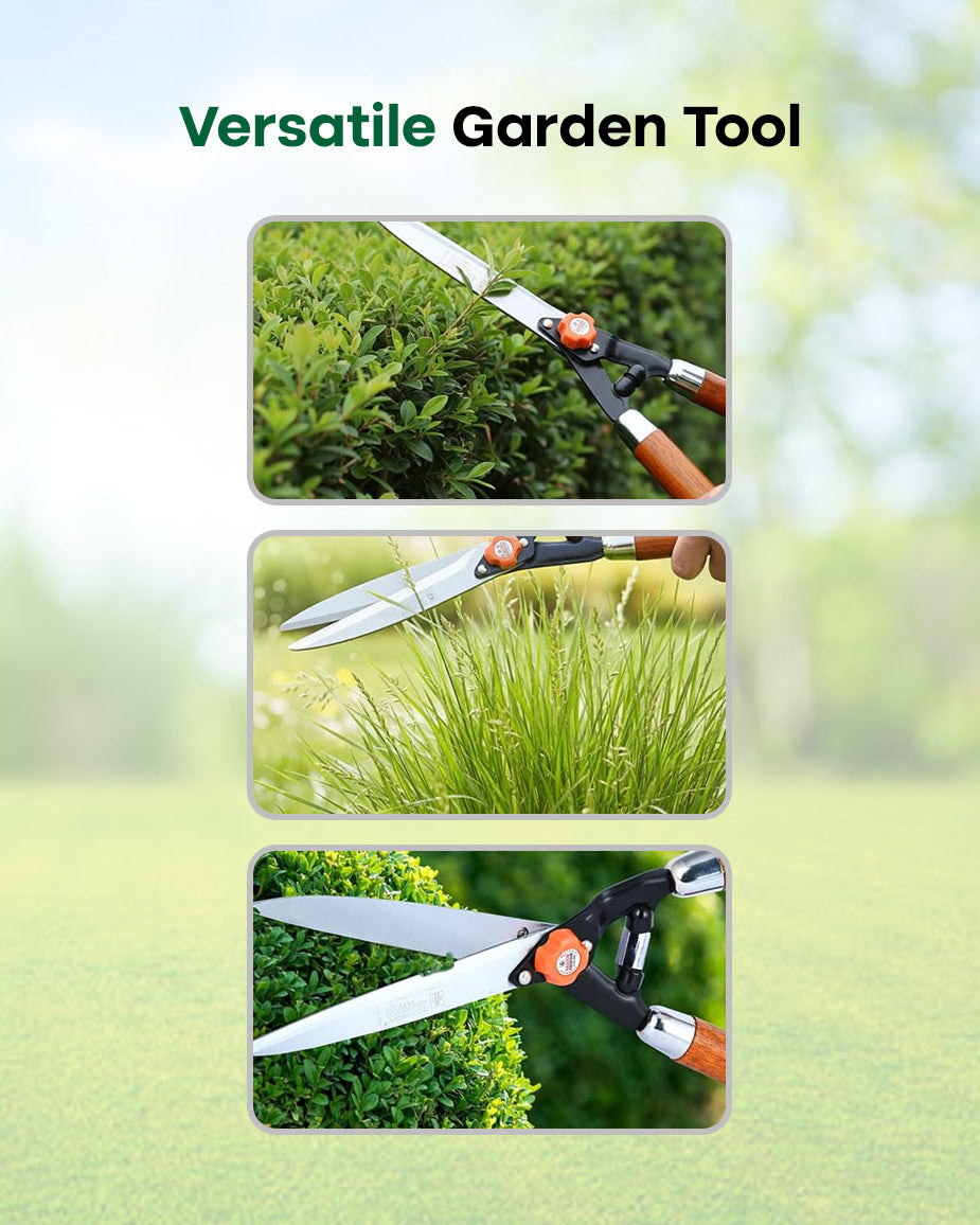 Falcon Premium Hedge Shear FHS-999(W) | 535mm Wooden Handle Garden Bush Clipper
