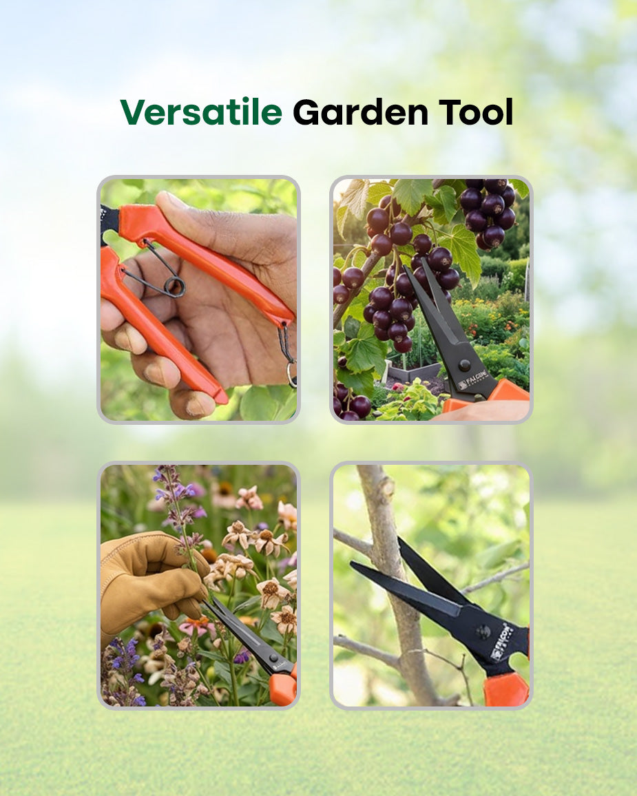 Falcon Rose Harvester RUCHI | 190mm Precision Flower & Bonsai Cutter