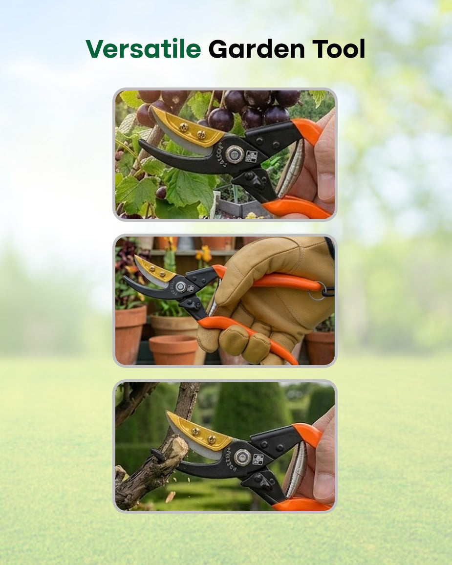Falcon Cut & Hold Pruning Secateur FCHS-901 | 225mm Smart Garden Shears
