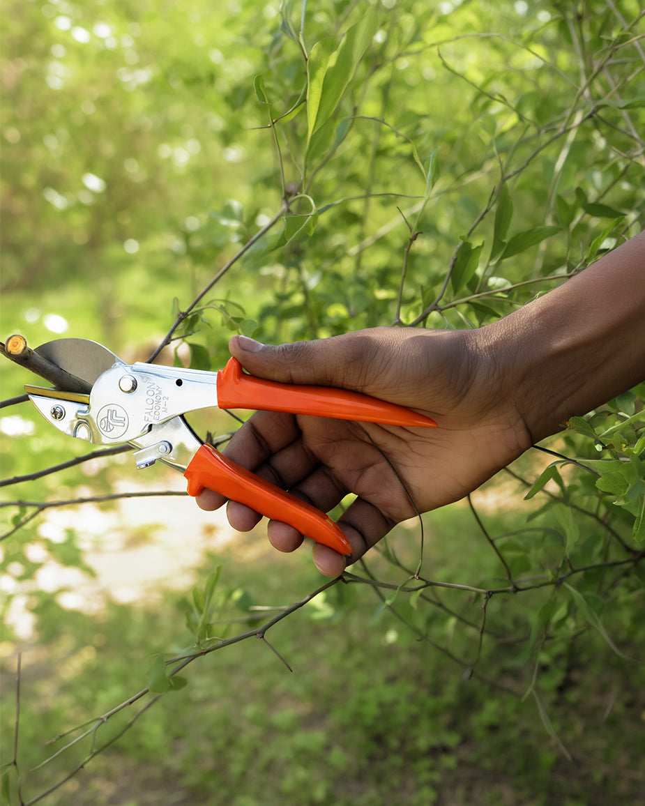 Falcon Pruning Secateur Economy-M2 | 12mm Anvil Garden Pruner
