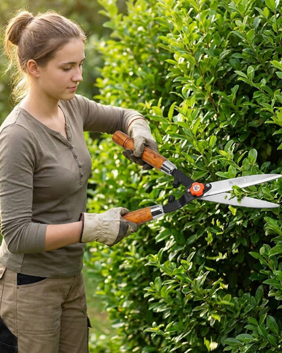 Falcon Premium Hedge Shear FHS-999(W) | 535mm Wooden Handle Garden Bush Clipper
