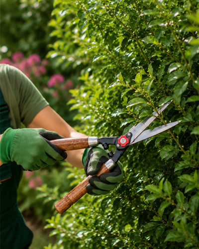 Falcon Premium Hedge Shear FHS-666 | 420mm Classic Garden Bush Clipper