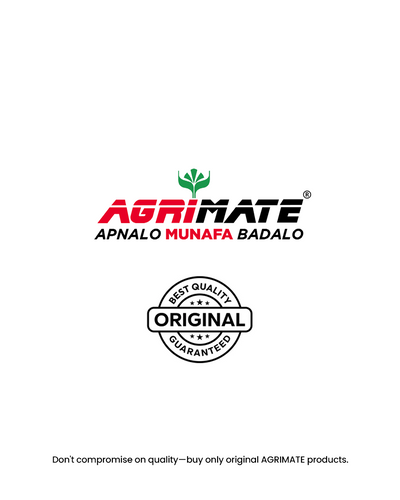 AGRIMATE Thermal Fogging Machine AF 2000 N [NT] | Heavy-Duty Mosquito & Pest Control Pulse-Jet Fogger