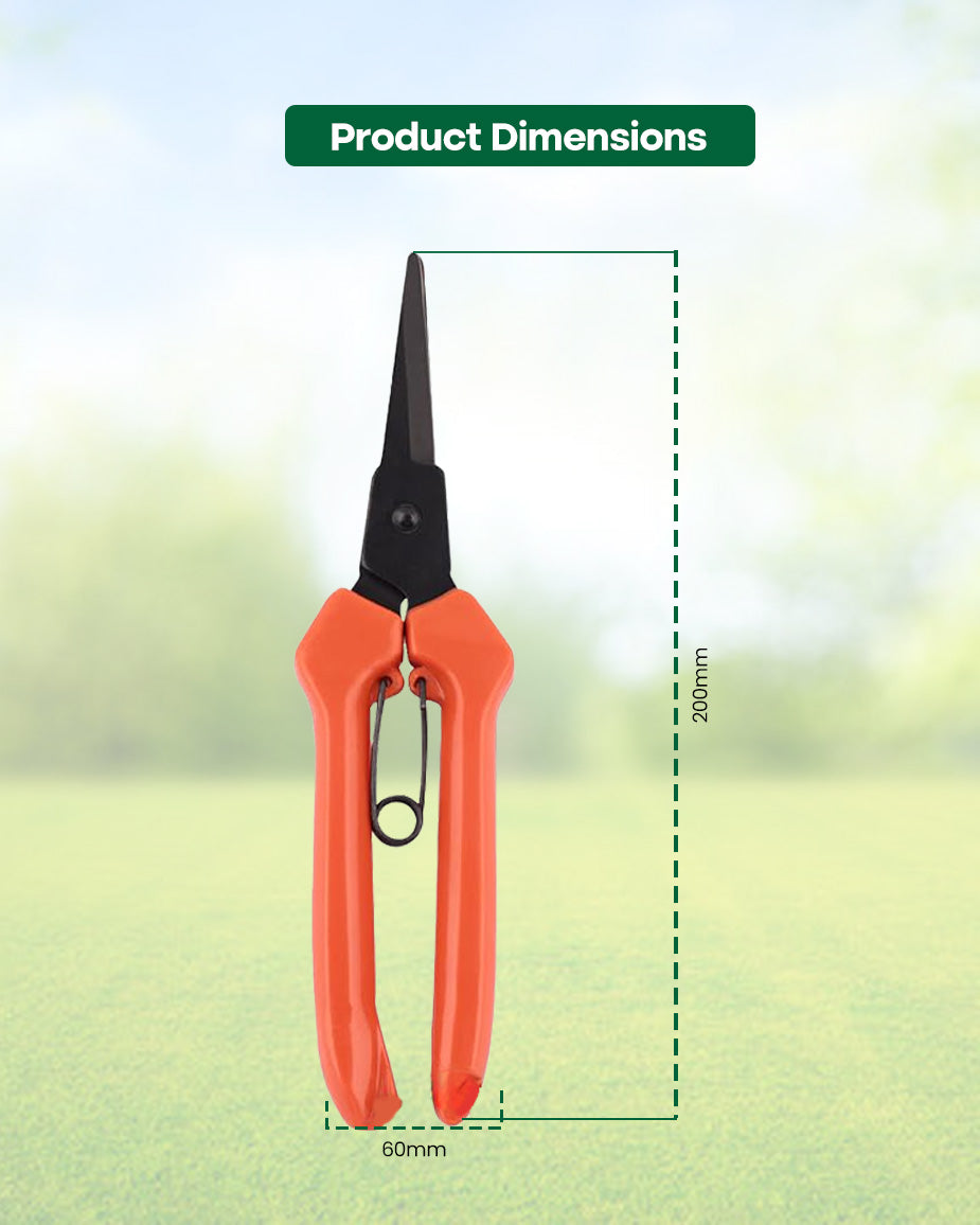 Falcon Rose Harvester RUCHI | 190mm Precision Flower & Bonsai Cutter